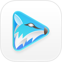 FoxFM Offline Music MP3 Player