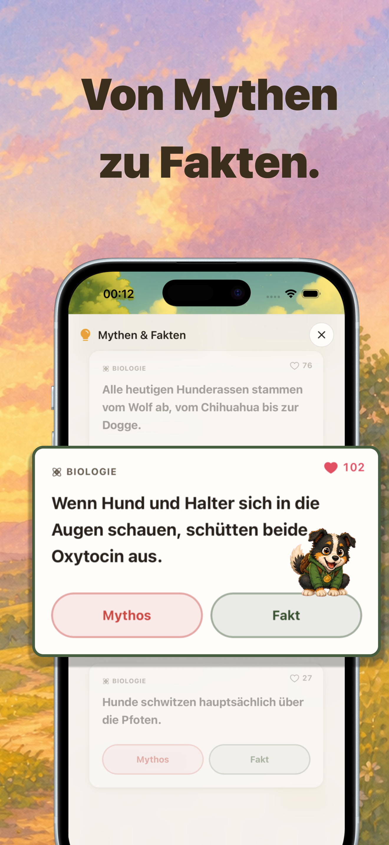 Wolfi | Hundeführerschein screenshot 6