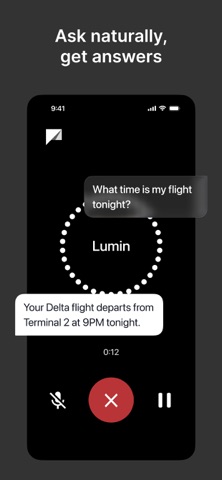 Lumin - Talk to your email Screenshot 3 of 5
