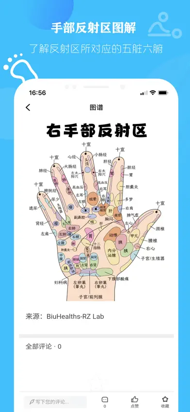 人体反射区 — 反射穴位与中医反射疗法研究 screenshot 5