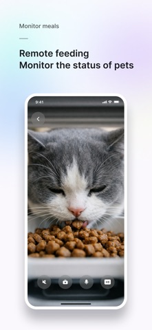 LIVPET Screenshot 6 of 7