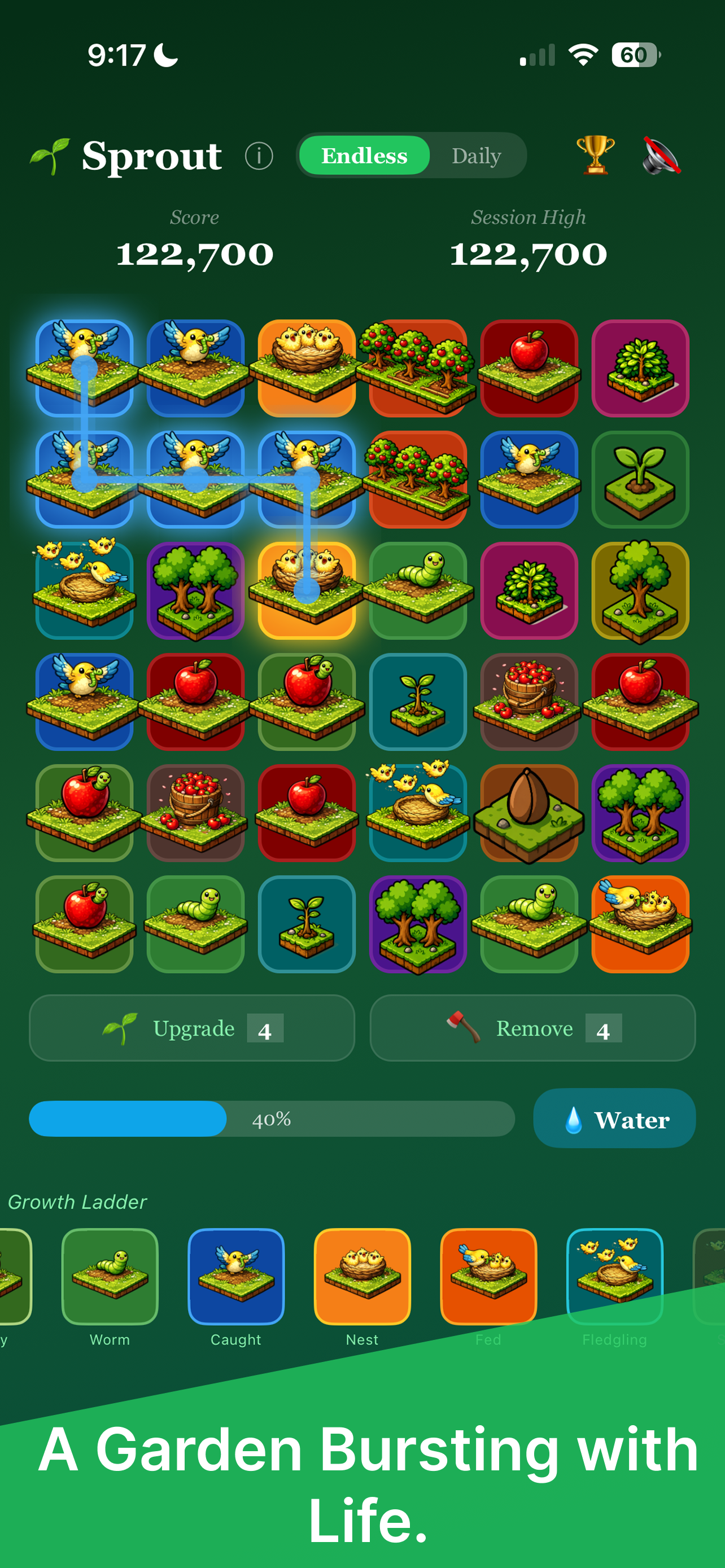 Sprout Puzzle