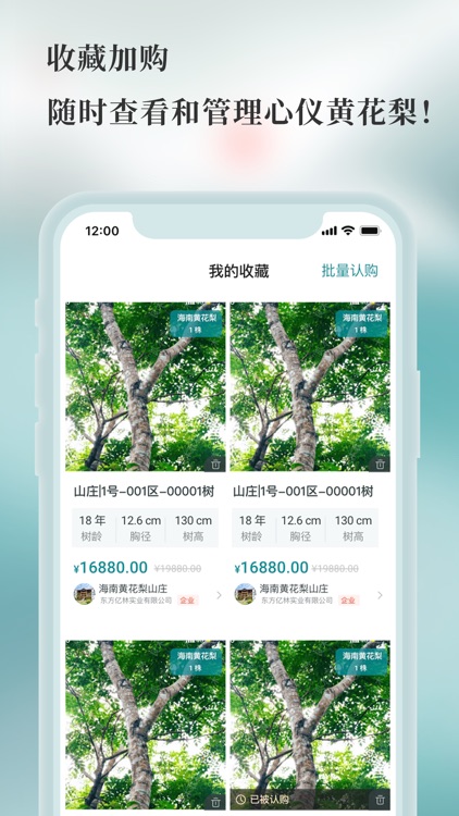 良木森林 screenshot-3