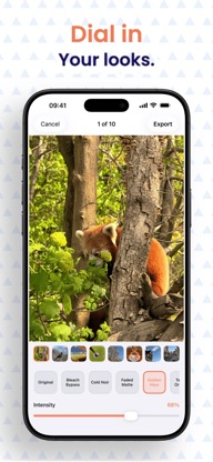 RAWCraft: LUT Photo Editor screenshot 4