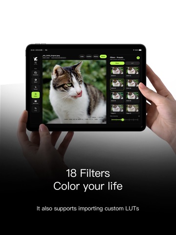 Flit Photo Editor iPad screenshot
