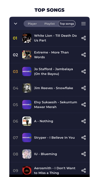 Radio Indonesia Online FM Screenshot