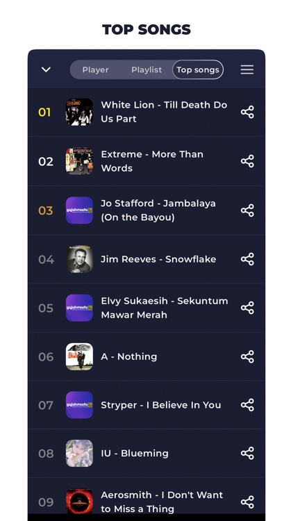 Radio Indonesia Online FM screenshot-4