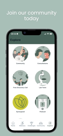 Synergised screenshot