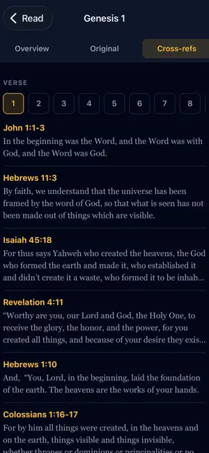Bible Definition screenshot 4