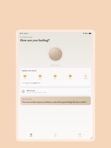 Luna: AI Companion & Mood iPad screenshot