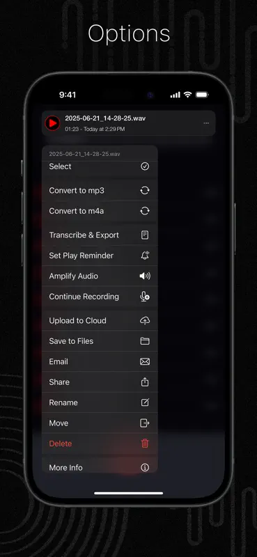 Audio Recorder Pro & Playback screenshot 7 of 10