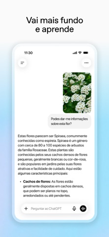 ChatGPT App Store preview screenshot 6