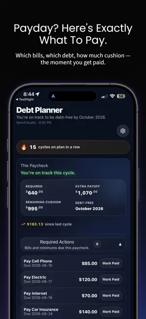 Paycheck Debt Planner screenshot 1