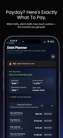 Paycheck Debt Planner Screenshot 1 of 9