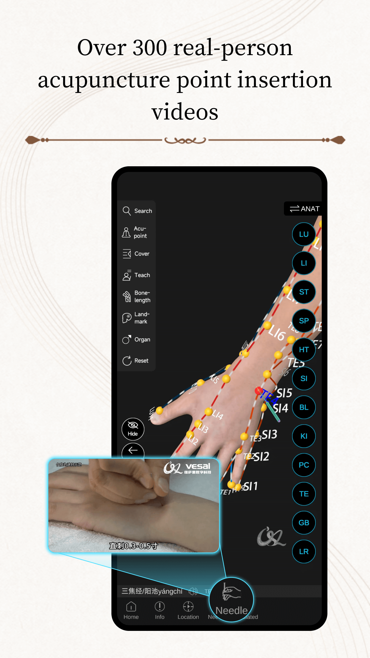 Messavox