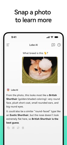 LobeHub: AI Chatbot & LLM App screenshot