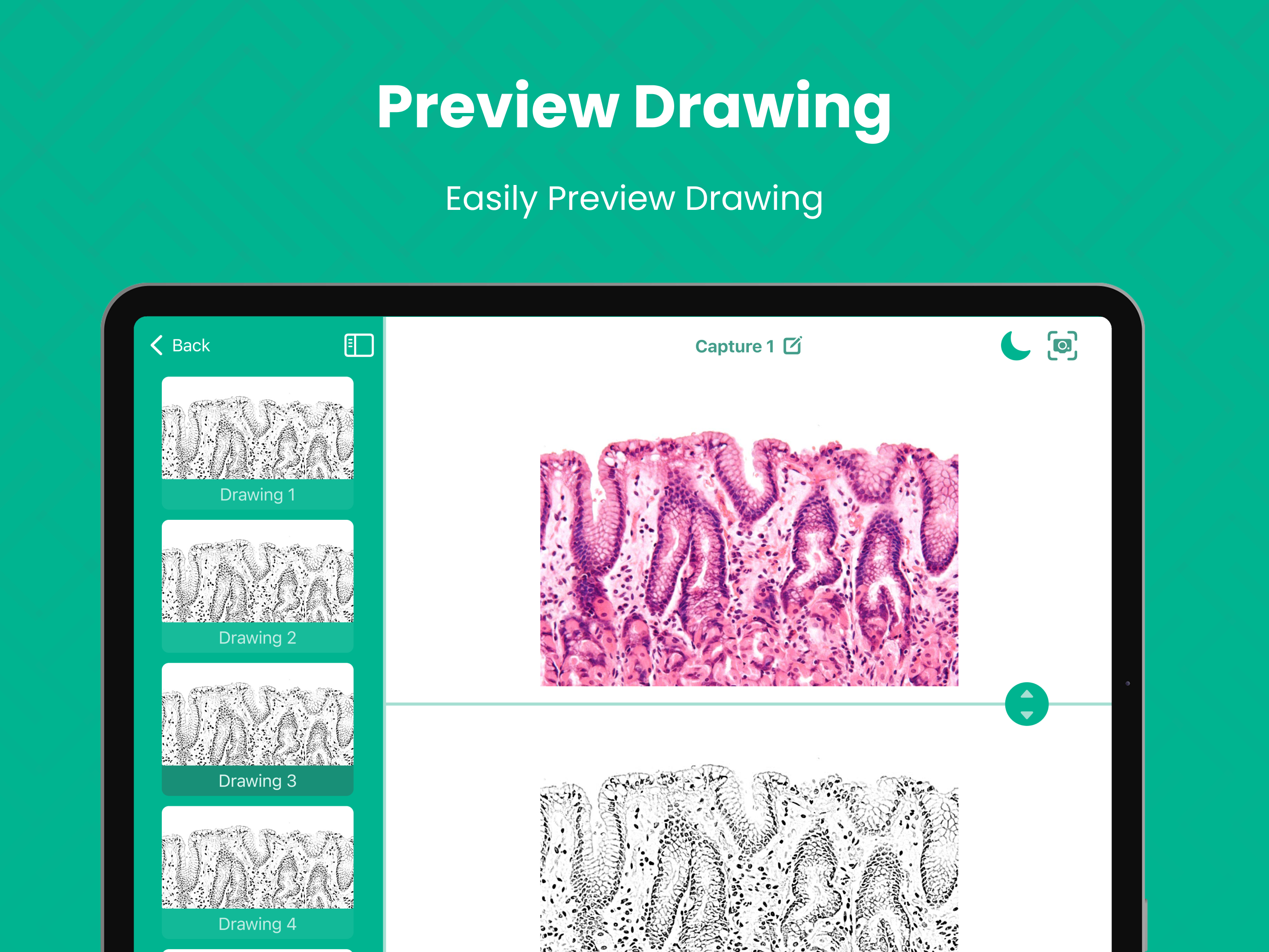 Cilika Sketch screenshot 5