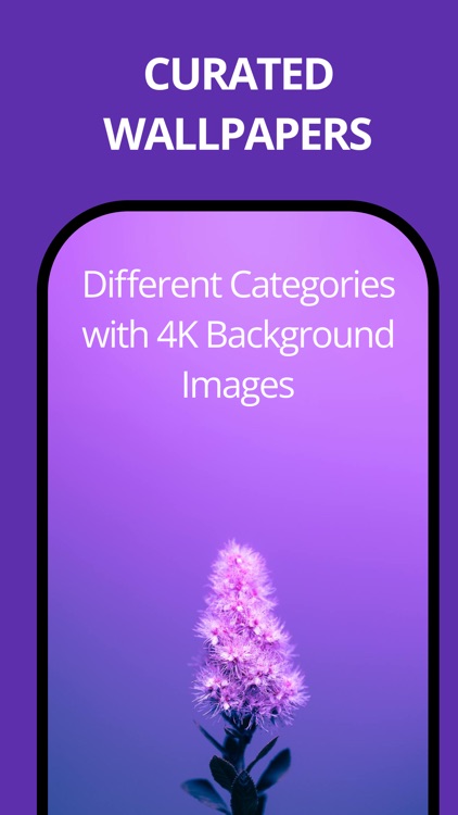 Wallpapers Curated: 4K and HD