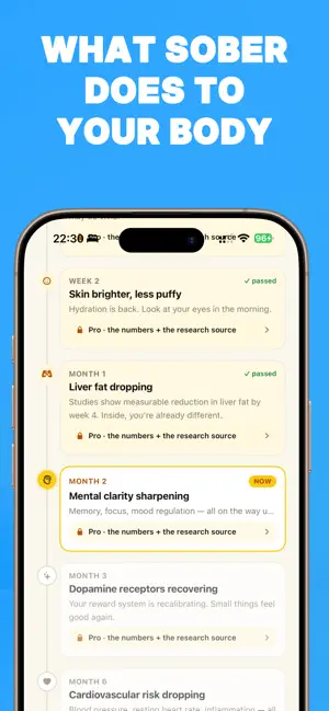 Quit Drinking Tracker: Bright screenshot 4