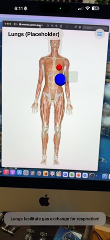 EGK OrganLens AR screenshot