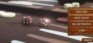 Backgammon Games: +18 screenshot 3