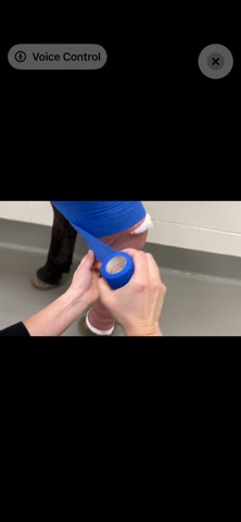 Purdue Vet Med Equine Pro Tips iPhone screenshot