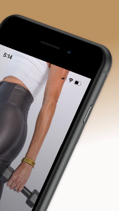 BodyBarre. Screenshot