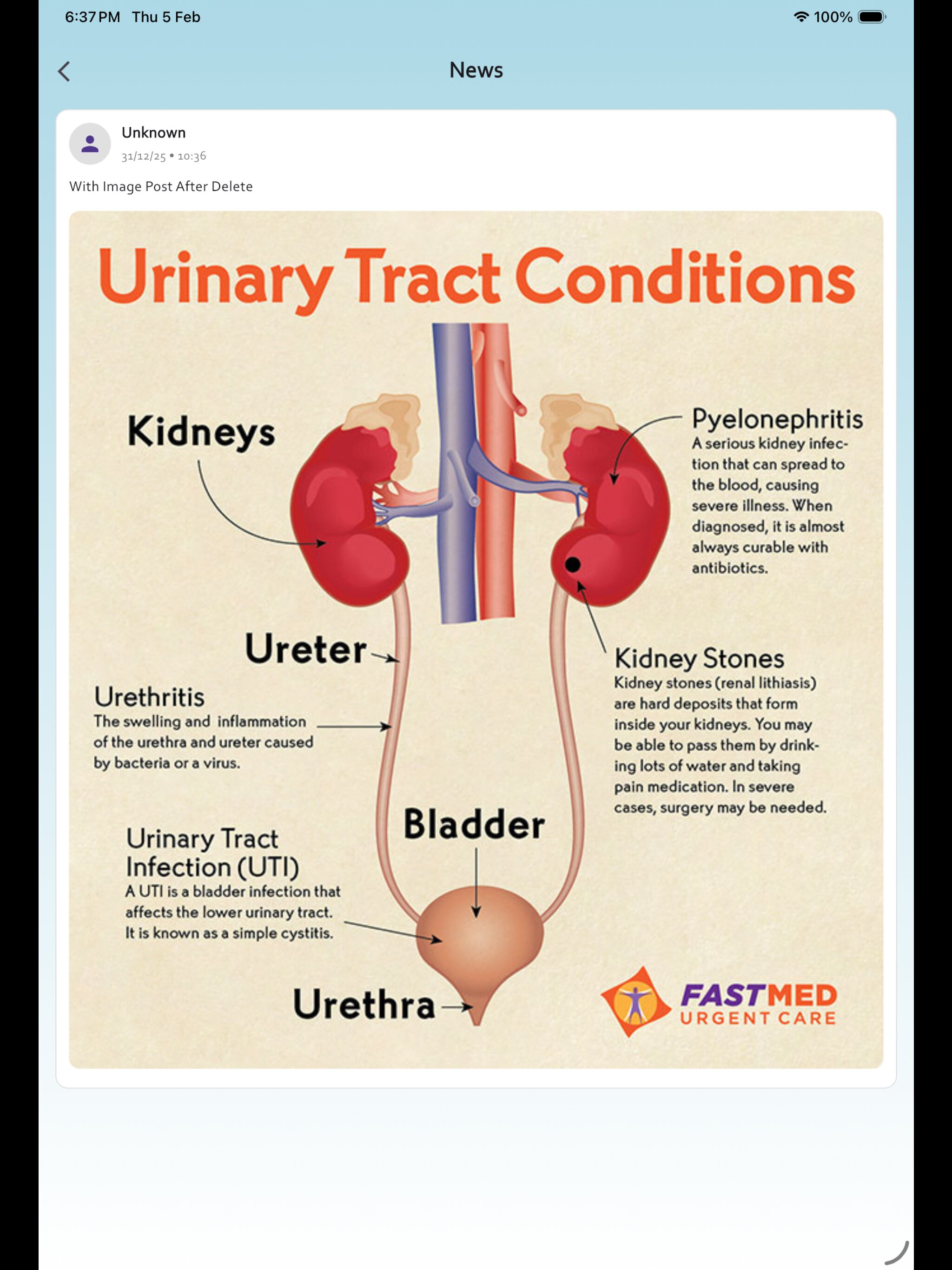 UroQuizz screenshot 12