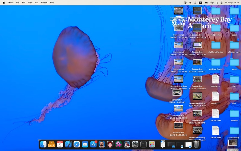 Real Live Wallpaper screenshot