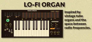 Radio Organ screenshot 1