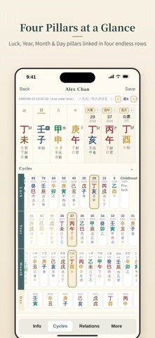 DRAGON BaZi Chart Screenshot 1 of 6