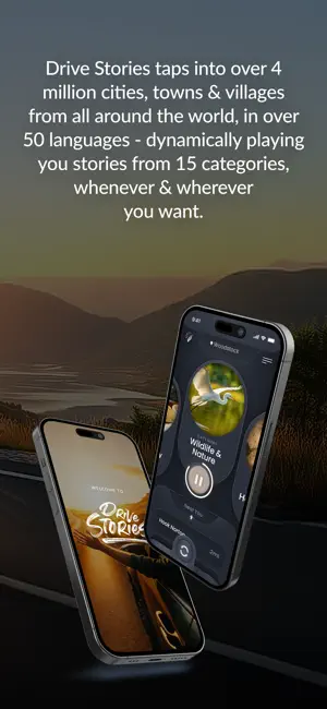 Drive Stories screenshot 3