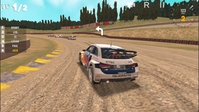 Rally Stars Screenshot