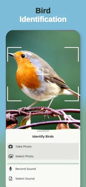 Bird Call Identifier -BirdTune screenshot 1