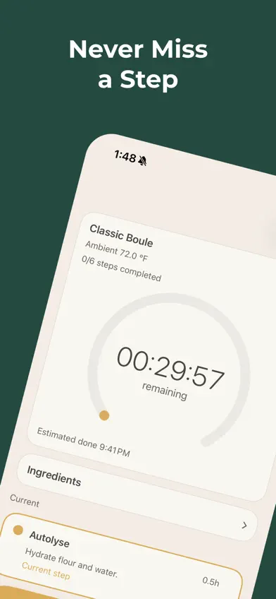 Levain – Sourdough Companion screenshot 4