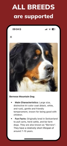 Dog Identifier—Breed Scanner Screenshot 2 of 4