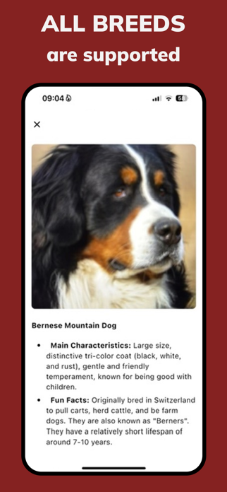 Dog Identifier—Breed Scanner Screenshot 2 of 4