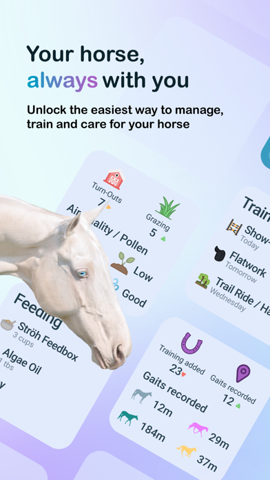 Happie Horse - Management Screenshot