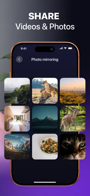 Screen Mirroring · Cast to TV. screenshot 3