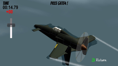 Canard Plane Race Screenshot