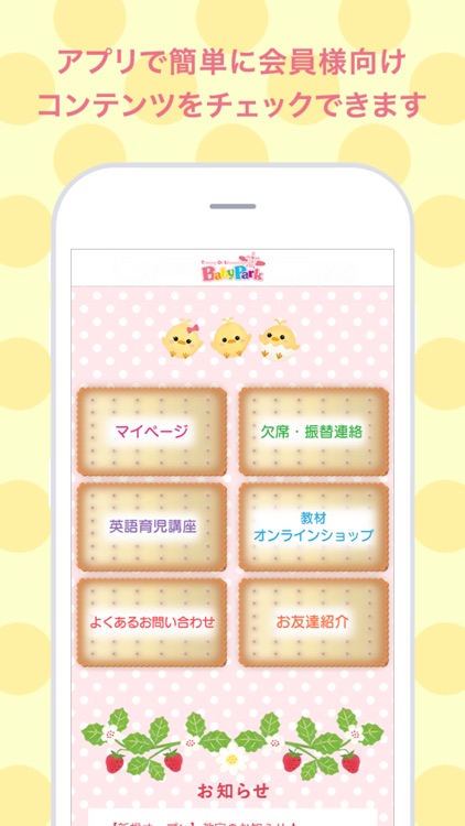TOEZ Mathカード　マスカード　ベビーパーク　※説明欄必ずご確認下さい TOEZオリジナルMathカード（オレンジ） | Babypark