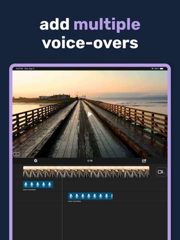 Voice Over Video iPad screenshot