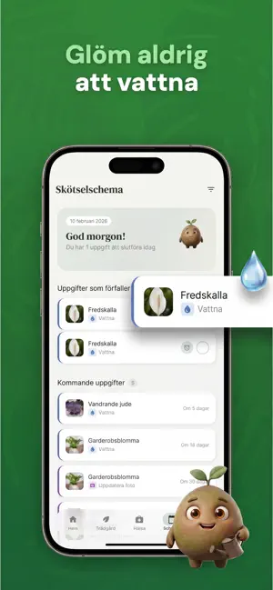 Växtidentifiering: Bloom iPhone screenshot 4