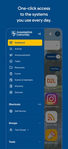 myAssumption screenshot