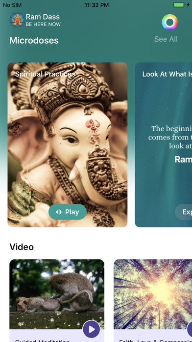 Ram Dass - Be Here Now Screenshot
