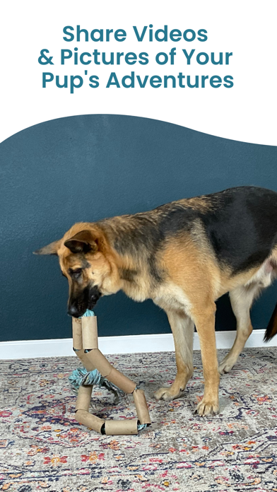 DOGLi - Dog Enrichment & Games Screenshot