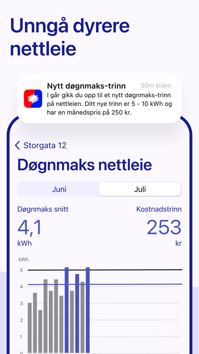 Vest-Telemark Kraftlag AS Screenshot