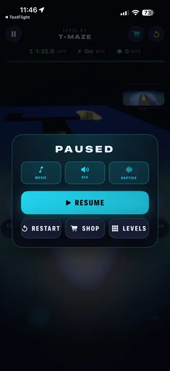 Run Dummy screenshot 3