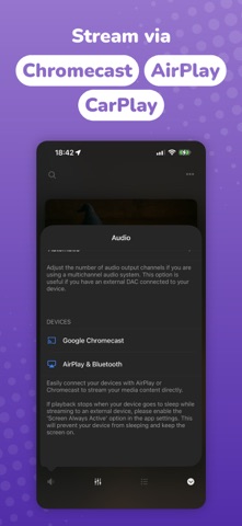 Evermusic: Cloud Music Player iPhone screenshot