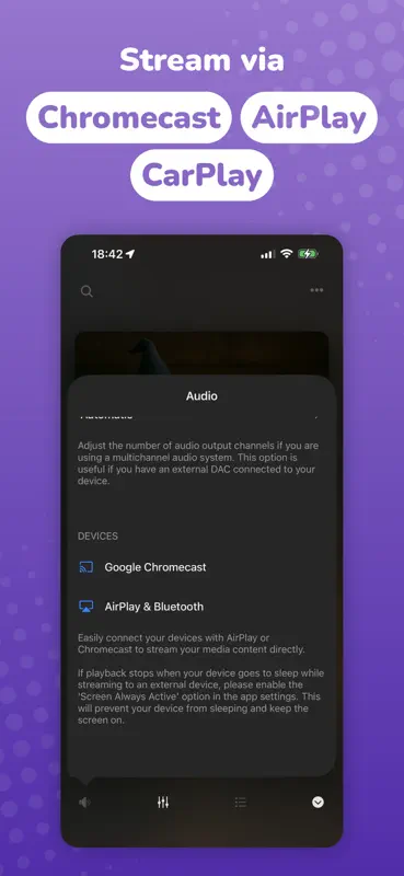 Evermusic: Cloud Music Player screenshot 8 of 10